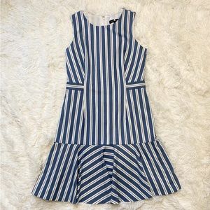 Banana Republic Blue and White Stripe Dress